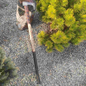 ГУЦУЛ сокира ручної роботи майстра Сергія Дитюка, сталь - високовуглецева 54 - 58 HRC. Photo 3